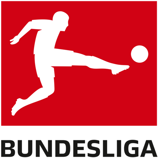 Bundesliga Historical Sports Betting Odds Database